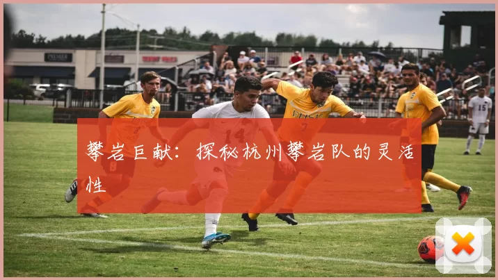 攀岩巨献：探秘杭州攀岩队的灵活性