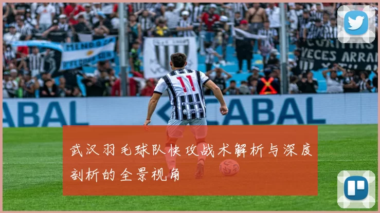 武汉羽毛球队快攻战术解析与深度剖析的全景视角