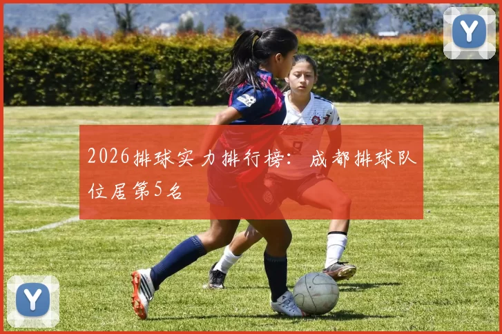 2026排球实力排行榜：成都排球队位居第5名