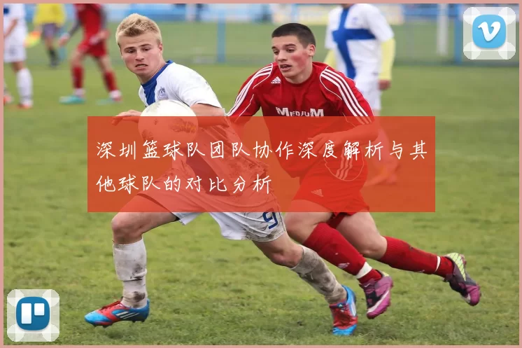 深圳篮球队团队协作深度解析与其他球队的对比分析