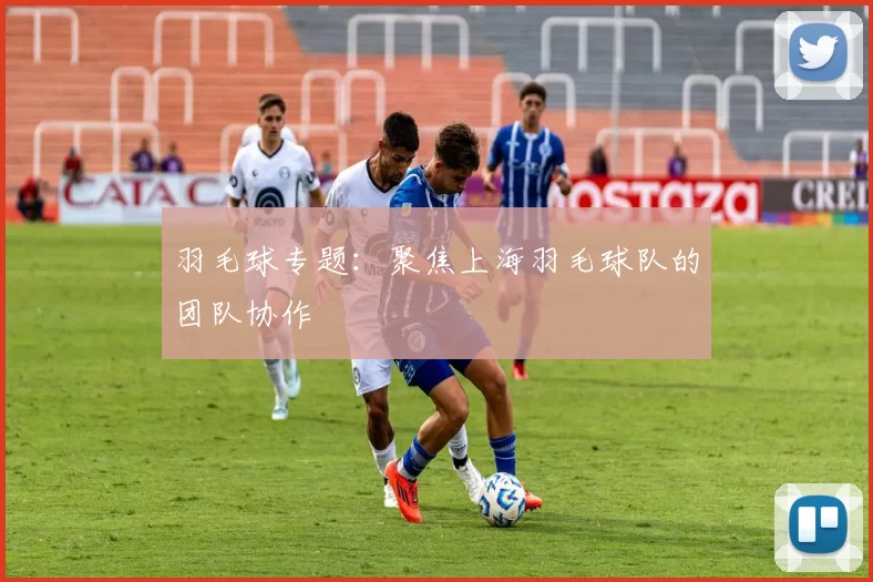 羽毛球专题：聚焦上海羽毛球队的团队协作