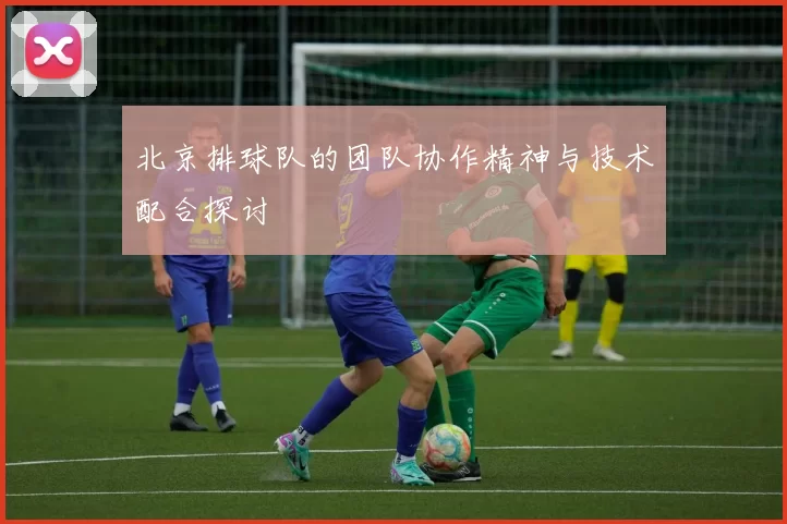 北京排球队的团队协作精神与技术配合探讨